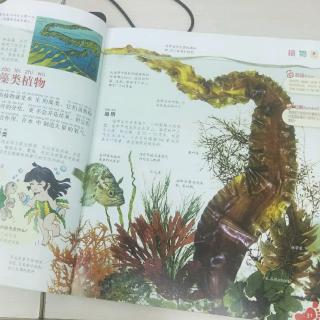 上学就看  植物园2