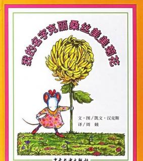 我的名字克里桑丝美美菊花