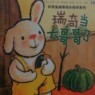 🐇瑞奇当大哥哥了