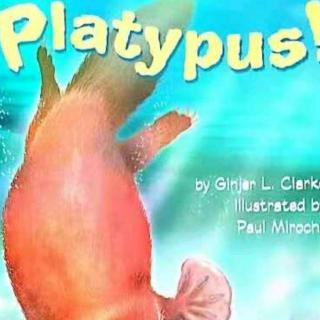 Platypus!-the story