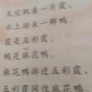 分不清是鸭还是霞