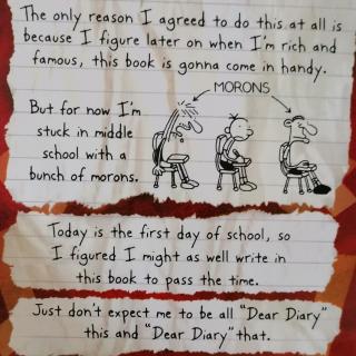 Diary of a Wimpy Kid 7