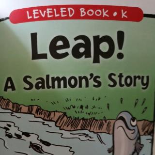 Leap -A Salmon's Story