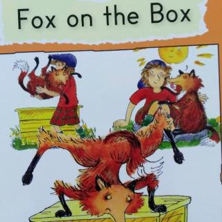 Fox on the Box