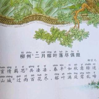 《柳州榕叶落尽偶题》［唐］柳宗元