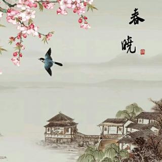 《春晓》唐 孟浩然