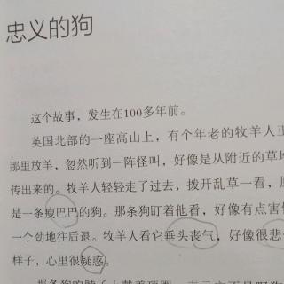 23号徐有哲阅读《林良爷爷的700字故事》