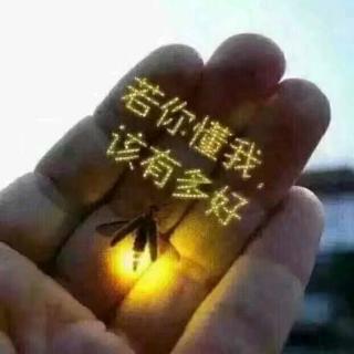 《我不想再等你了》