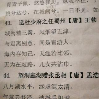 《送杜少府之任蜀州》