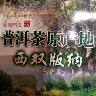 《普洱茶原产地—西双版纳》_【史书为何记载普洱不产茶①】