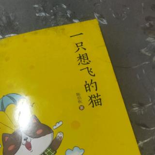 一只想飞的猫