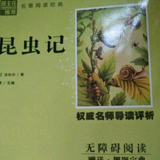 《昆虫记》良母         下半部分