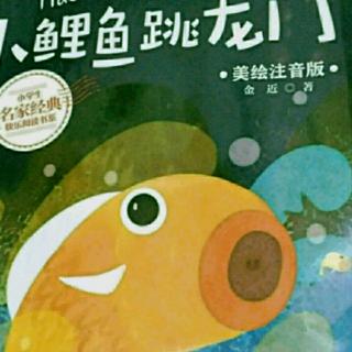 骄傲的大公鸡61--65