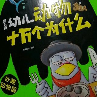 超有趣幼儿动物十万个为什么——第3章 爬行家的快乐