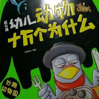 超有趣幼儿动物十万个为什么——第4章 动物小课堂开讲啦