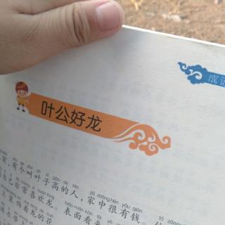 叶公好龙