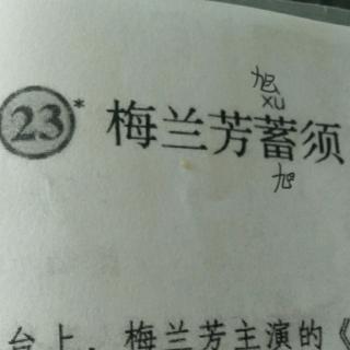 23.梅兰芳蓄须   王鸿运