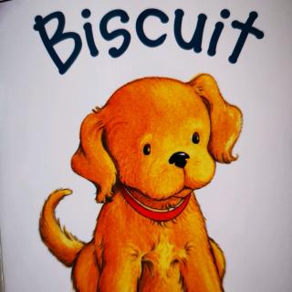 《Biscuit》