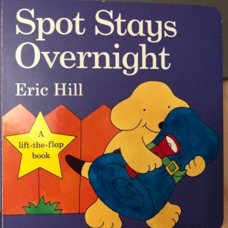 Spot Stays Overnight