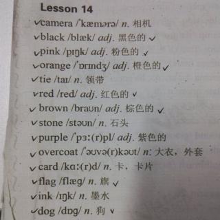 新课标1上Lesson14单词