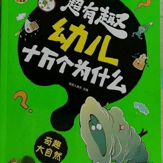 超有趣幼儿十万个为什么奇趣大自然——第4章奇趣植物