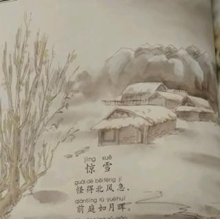 #古诗打卡#惊雪-打卡第九天