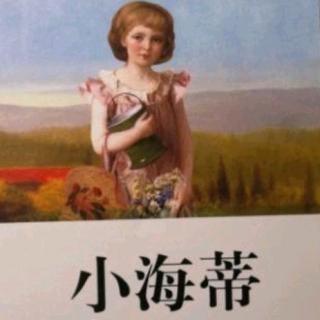 小海蒂 第十五章 远方来客