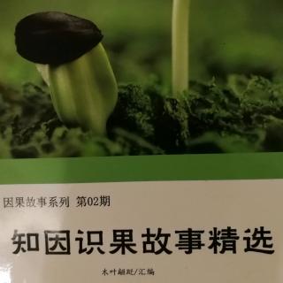 《知因识果故事精选》故事119和故事120