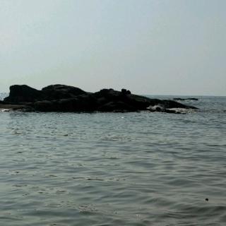 七月二十八号阅读英语十四课