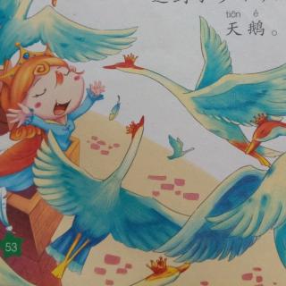 天一幼儿园金老师睡前故事《野天鹅》