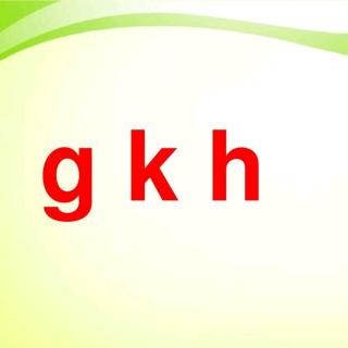 幼小课程～拼音4《gkh》