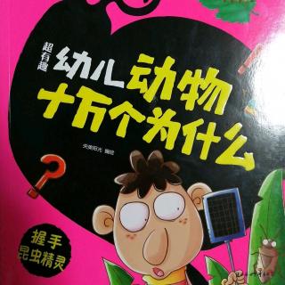 超有趣幼儿动物十万个为什么握手昆虫精灵——4钻进钻出真愉快