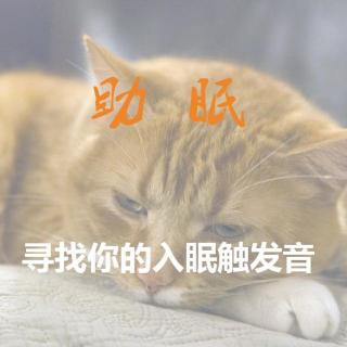 寻找你的入眠触发音-梵音