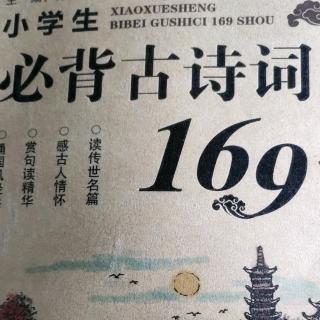 背古诗41-45