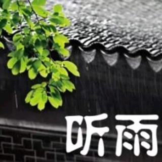 听，夜雨敲窗/阿金