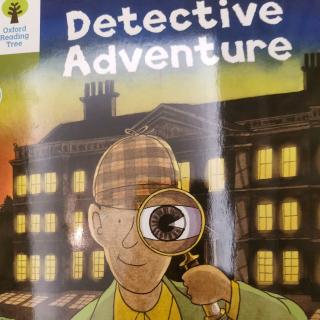 Detective adventure