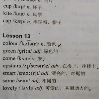 新课标1上Lesson13单词