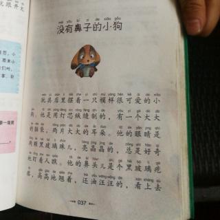 没有鼻子的小狗