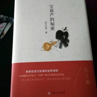 宝葫芦的秘密第三章