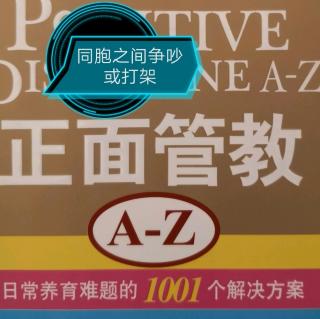 《正面管教A-Z》“同胞之间争吵和打架”