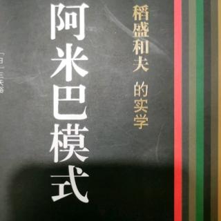 《阿米巴模式》13