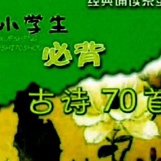 #古诗打卡#《出塞》-打卡第12天