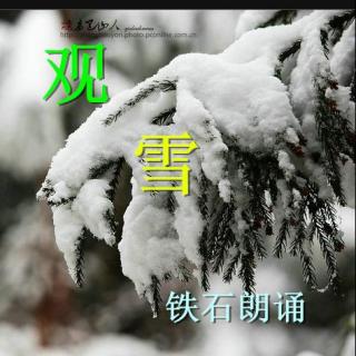 《观雪》作者：佚名 ；铁石朗诵