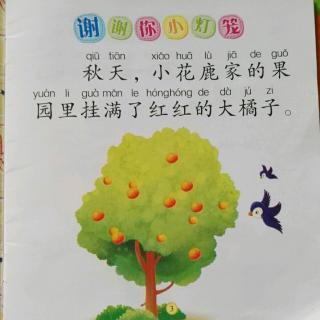 《谢谢你小灯笼》