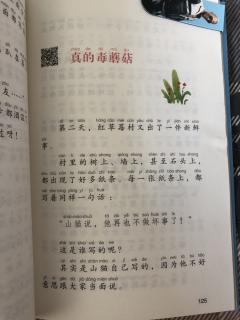 真的毒蘑菇