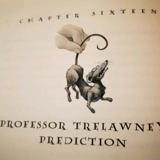 HP3-16Professor trelawney’s prediction