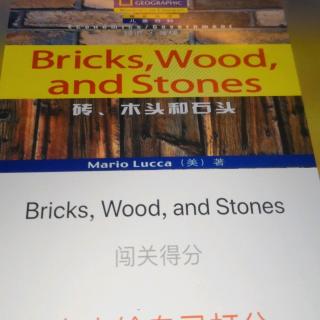 Bricks Wood and Stones