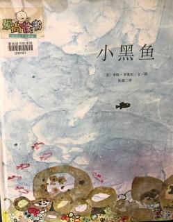 小黑魚