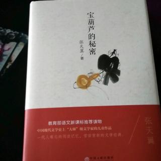 宝葫芦的秘密第五章