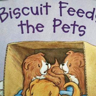 Biscuit feeds the pets